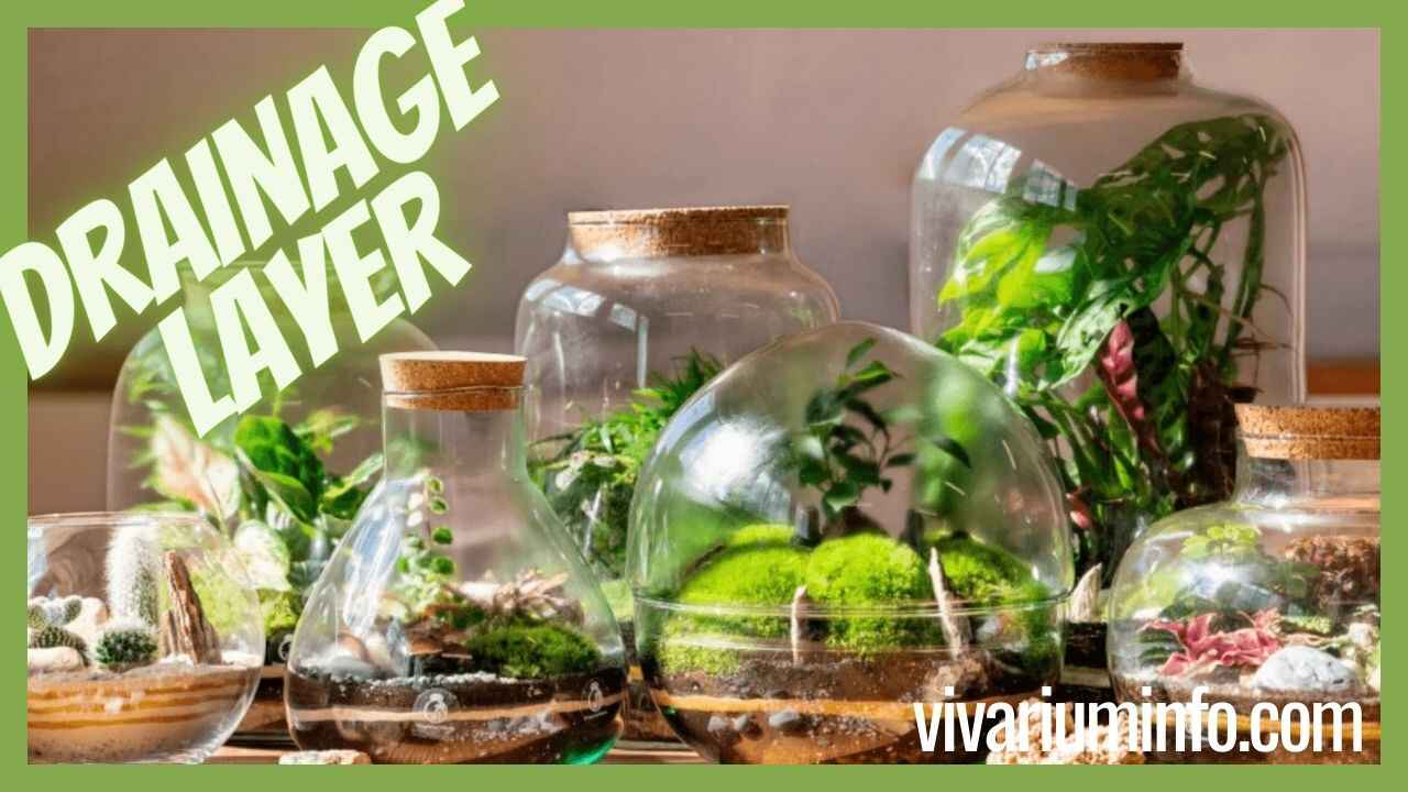 How to Add a Drainage Layer After Setting Up a Terrarium