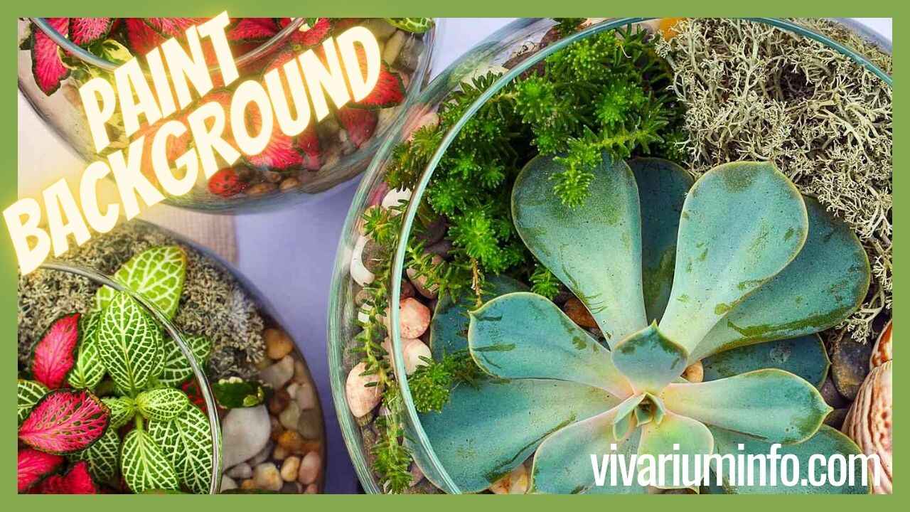 How to Paint a Vivarium Background