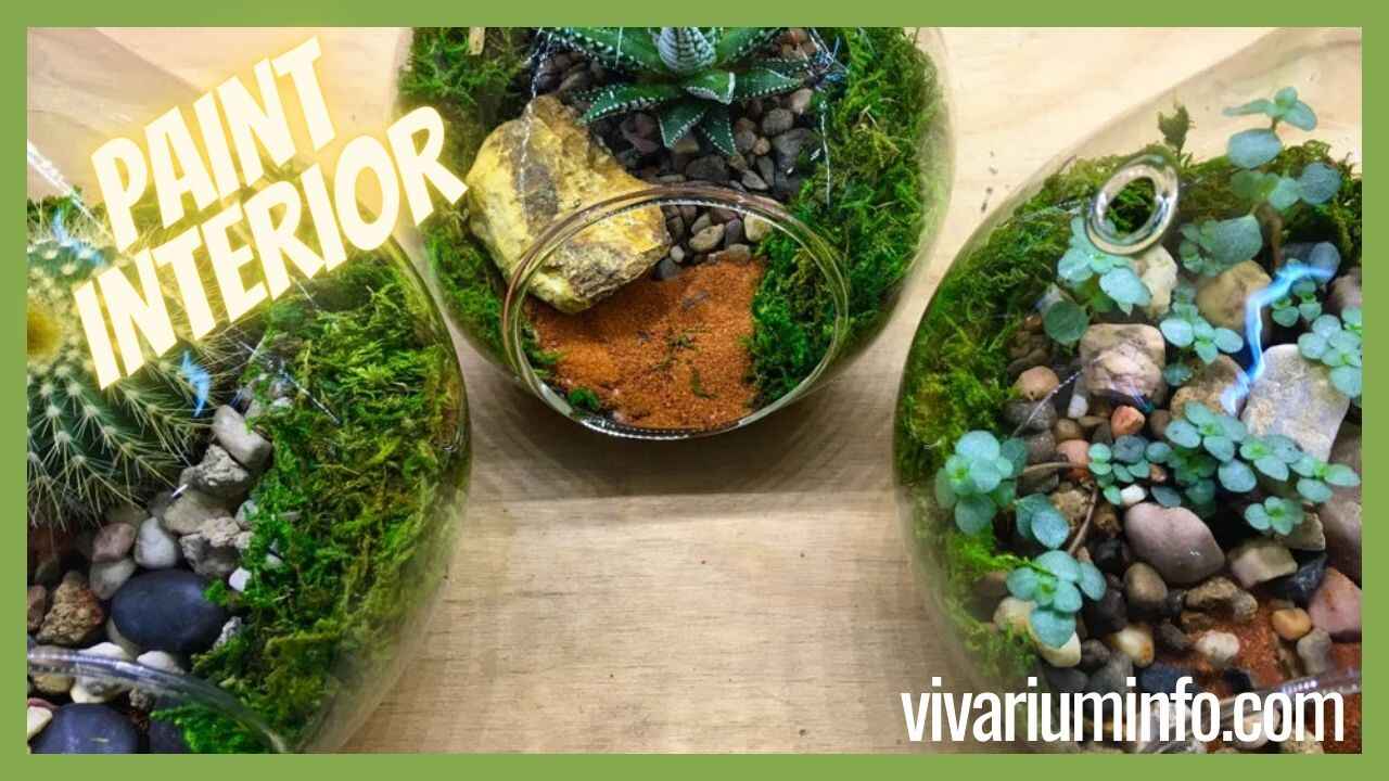 How to Paint a Vivarium Interior